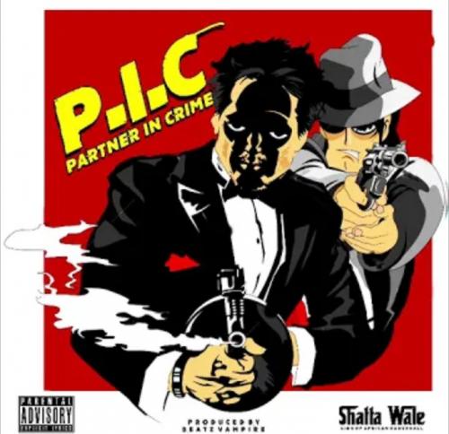 Shatta Wale – P.I.C (Partner In Crime)