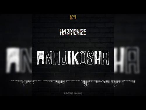 Harmonize – Anajikosha