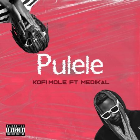 Kofi Mole – Pulele Ft. Medikal