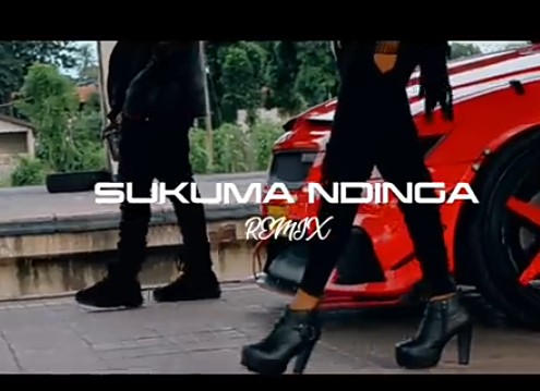 Rosa Ree – Sukuma Ndinga (Remix) Ft. Rayvanny