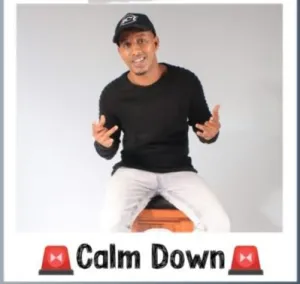 DJ Ace – Calm Down