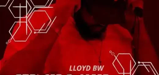 Lloyd BW – The Feeling Of Legends